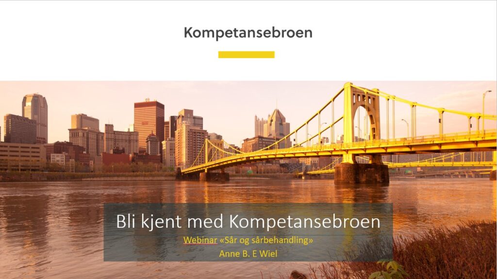 Bilde av forsiden på presentasjonen. Bilde av en gul bro