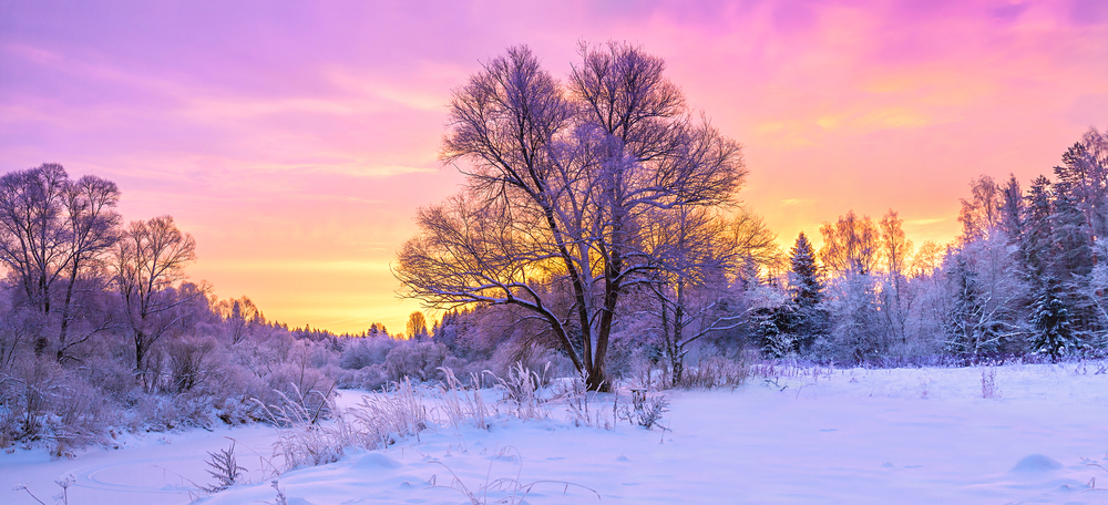 Winter,Panorama,Landscape,With,Forest,,Trees,Covered,Snow,And,Sunrise. Fotografi av natur i vinterstid, solnedgang.