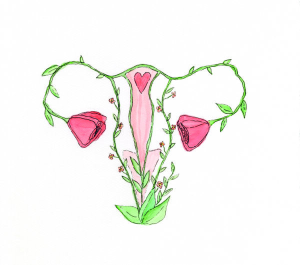 Illustrasjon av livmorhals i form av roser