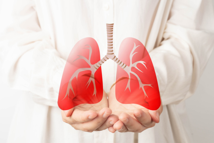 Bilde av lege i hvit frakk som holder illustrerte røde lunger i sine hender