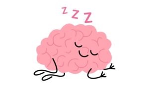 Illustrasjonsbilde av hjerne som sover