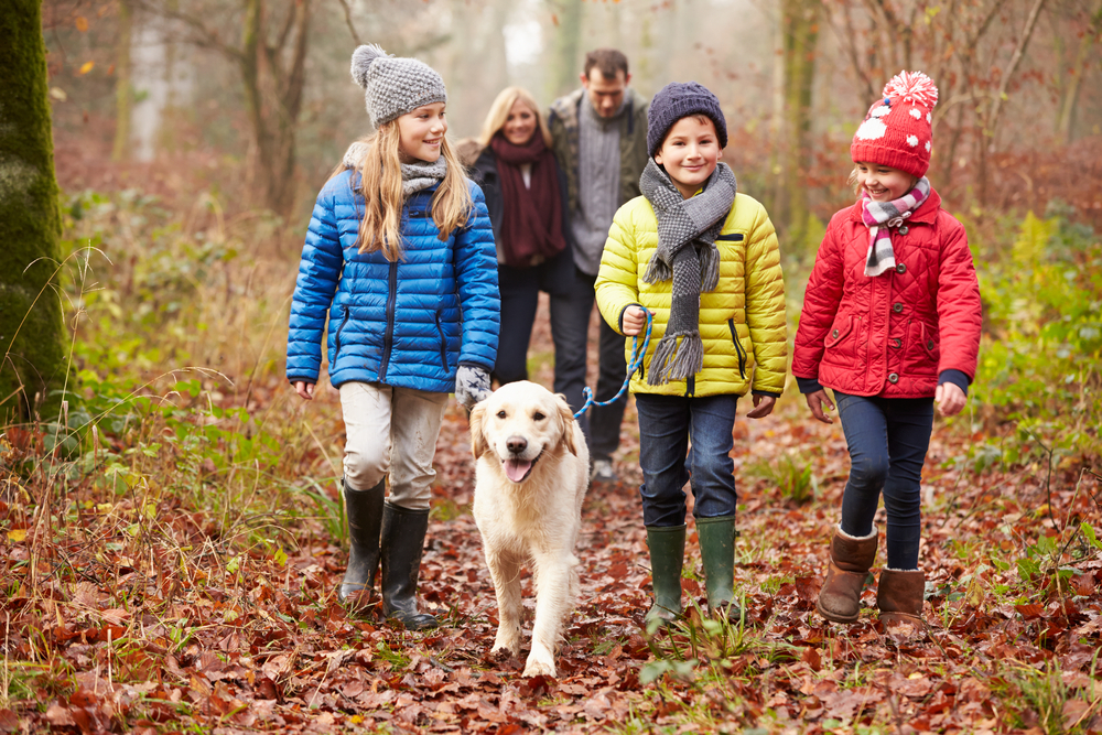 Family,Walking,Dog,Through,Winter,Woodland Fotografi av familie som går i naturen i høstvær