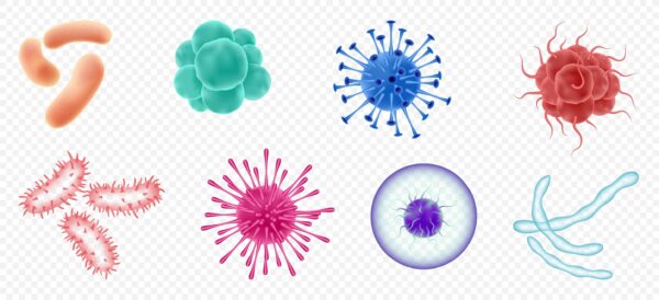 illustrasjon av infeksjonsbakterier