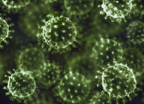 Bilde av virus.