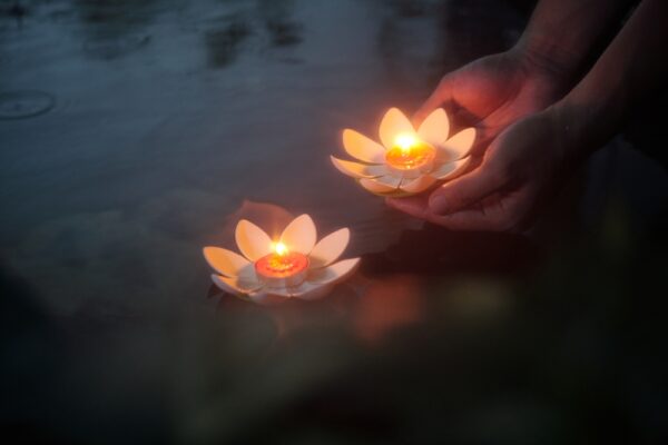 fotografi av hender som fører liljer med lys på ned i vann