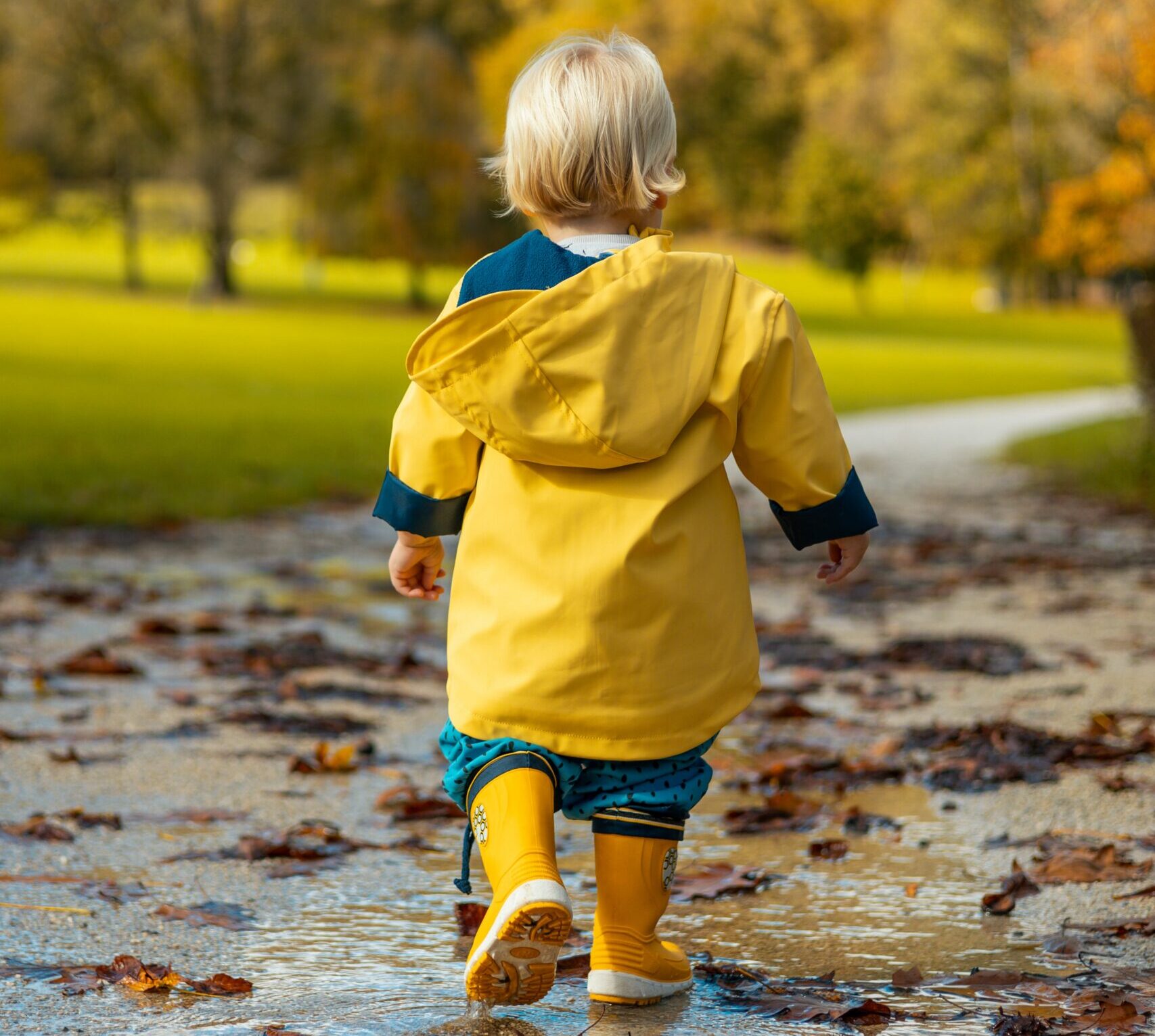 Fotografi av lite barn, gående i høst-vær, iført regnklær fra topp til tå. Gul jakke, bukse og støvler.