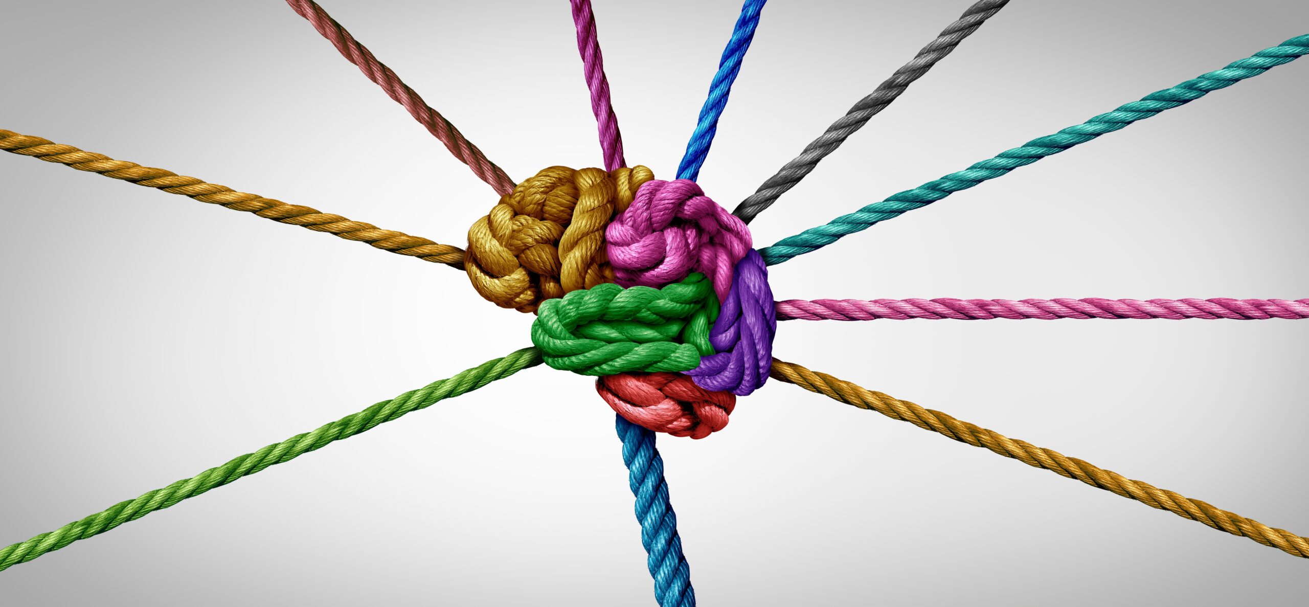 fotografi av tau strukket til å etterligne en hjerne. Tauene er i ulike farger, med grå bakgrunn