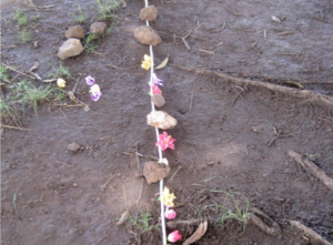 Fotografi av bakken, der ligger det en tråd med små blomster festet til seg, som en slags referanse til grense