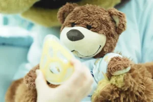 Bilde av Kallus, sykehuset østfold sin maskot