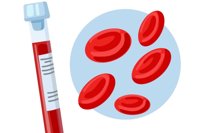Illustrasjon av blodlegemer og blodprøveglass, hematologi