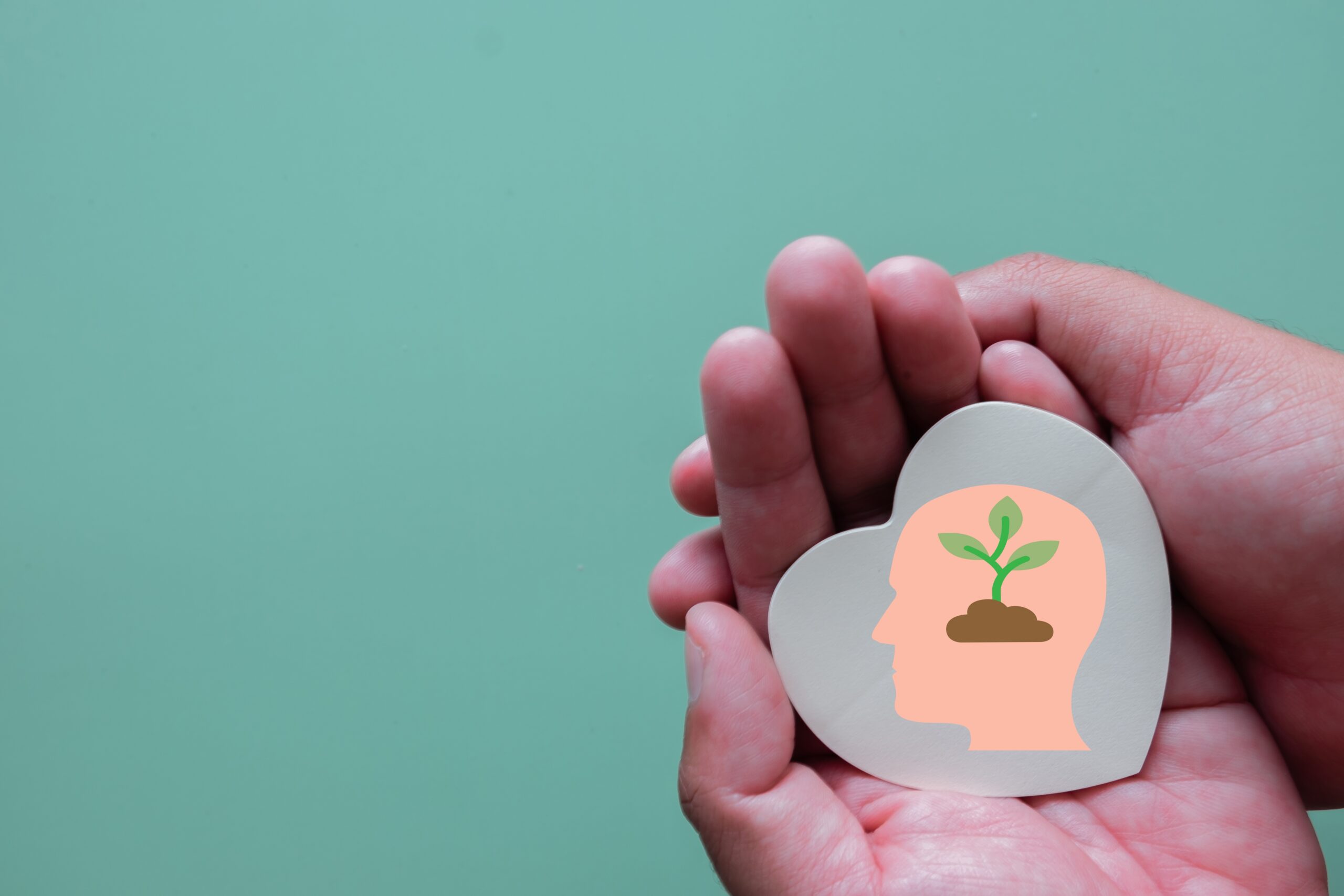 Fotografi av hånd som holder et papir-formet hjerte, med en menneske-silhuett hvor en liten spire vokser i hjernen