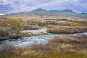 Elv som renner gjennom tundraen i Rondane nasjonalpark.
