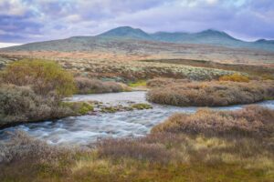 Elv som renner gjennom tundraen i Rondane nasjonalpark.