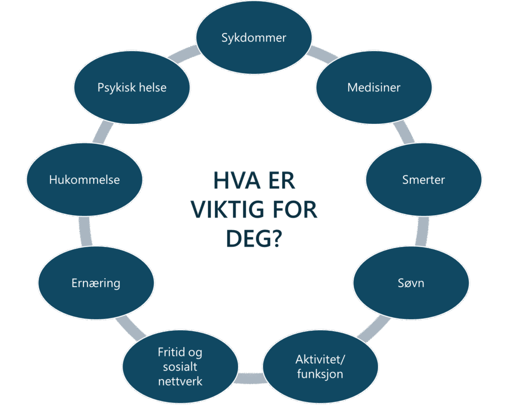 En sirkulær illustrasjon med «Hva er viktig for deg?» i sentrum. Rundt midten er ni ovale felt koblet i en ring. Feltene er merket med: sykdommer, medisiner, smerter, søvn, aktivitet og funksjon, fritid og sosialt nettverk, ernæring, hukommelse og psykisk helse. Illustrasjonen viser ulike livsområder som kan være viktige for en person.