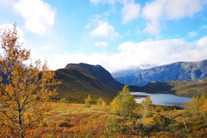 Høstbilde av fjellområde Nedre Leirungen i Vågå kommune.