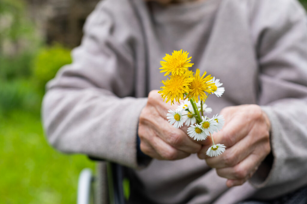 Nærbilde av eldre person sine hender som holder i en liten bukett markblomster.