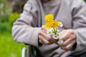 Nærbilde av eldre person sine hender som holder i en liten bukett markblomster.