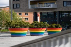 Bilder av potter malt i regnbuens farger med busker oppi
