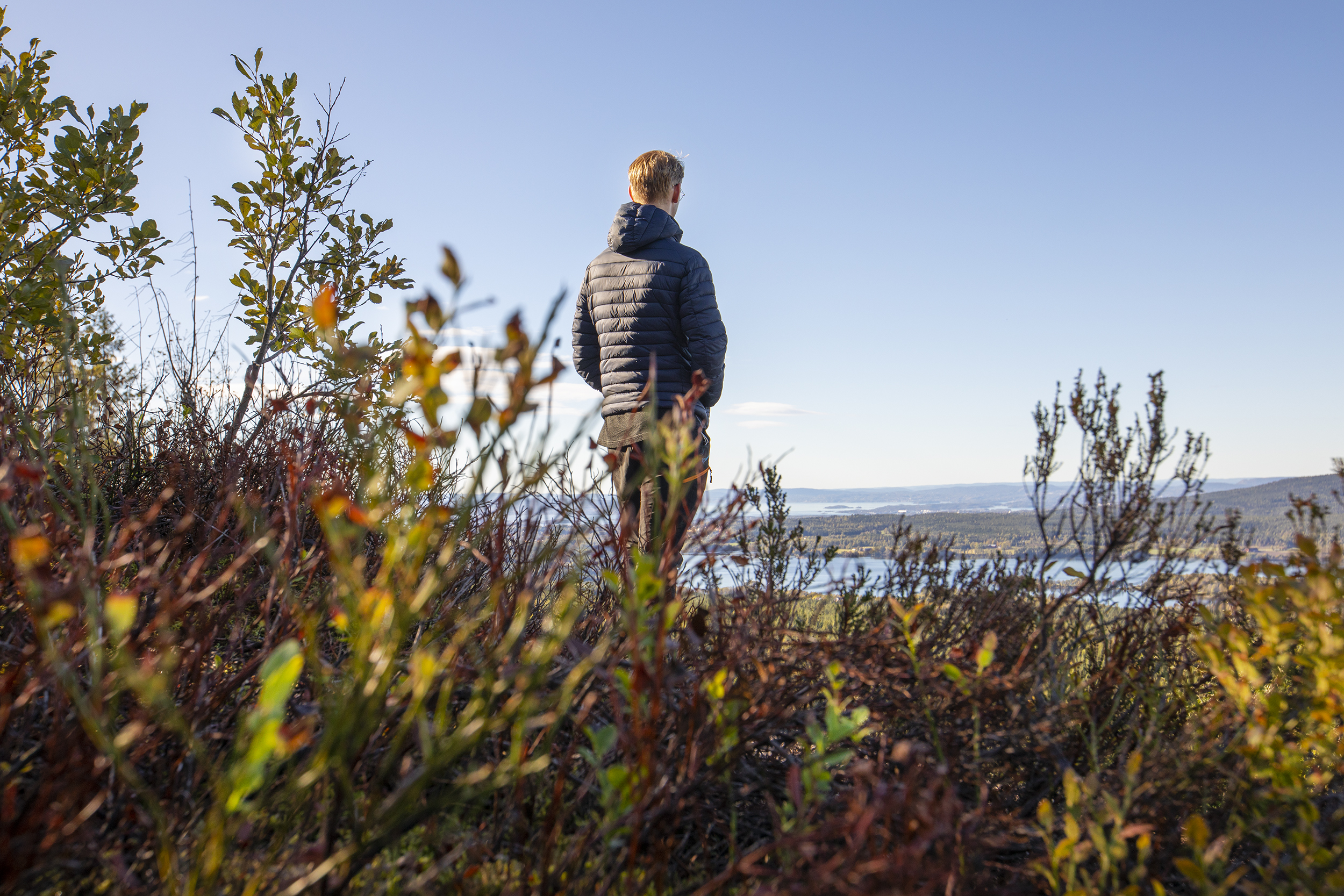 Mann står i naturen og ser utover Oslo, med ryggen til kamera. Foto