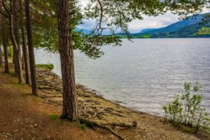 Fra Vesleøya på Fagernes mot Strandefjorden.