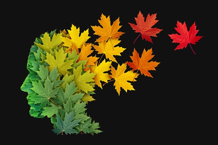 Illustrasjon av kognitiv svikt og Alzheimers sykdom, der et hode laget av grønne blader gradvis går over til fallende høstløv som symbol på hjernens aldring